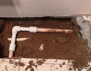 恒山测漏水哪家好