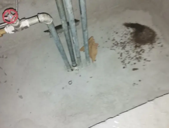 恒山卫生间测漏水价格明细